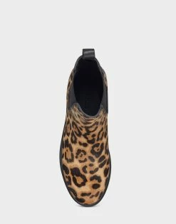 Aerosoles Women's Ankle Boot In Leopard -Aerosoles Shop Camila 978 04 1600x
