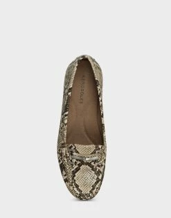 Aerosoles Women's Loafer In Snake Print -Aerosoles Shop Daydrive 568 04 1600x