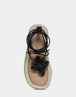 Aerosoles Women's Sandal In Black 8 Aerosoles Women's Sandal In Black -Aerosoles Shop Fanie 002 AV4 1600x