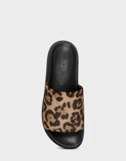Aerosoles Women's Sandal In Leopard -Aerosoles Shop Leila 274 04 1600x
